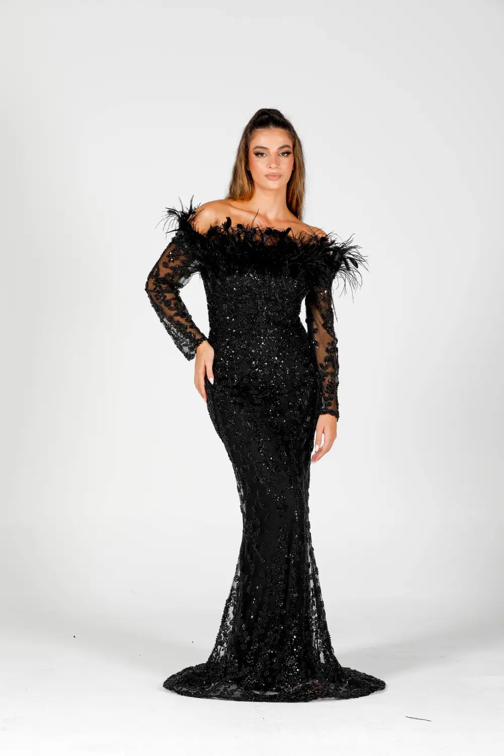 Midnight Queen Main image